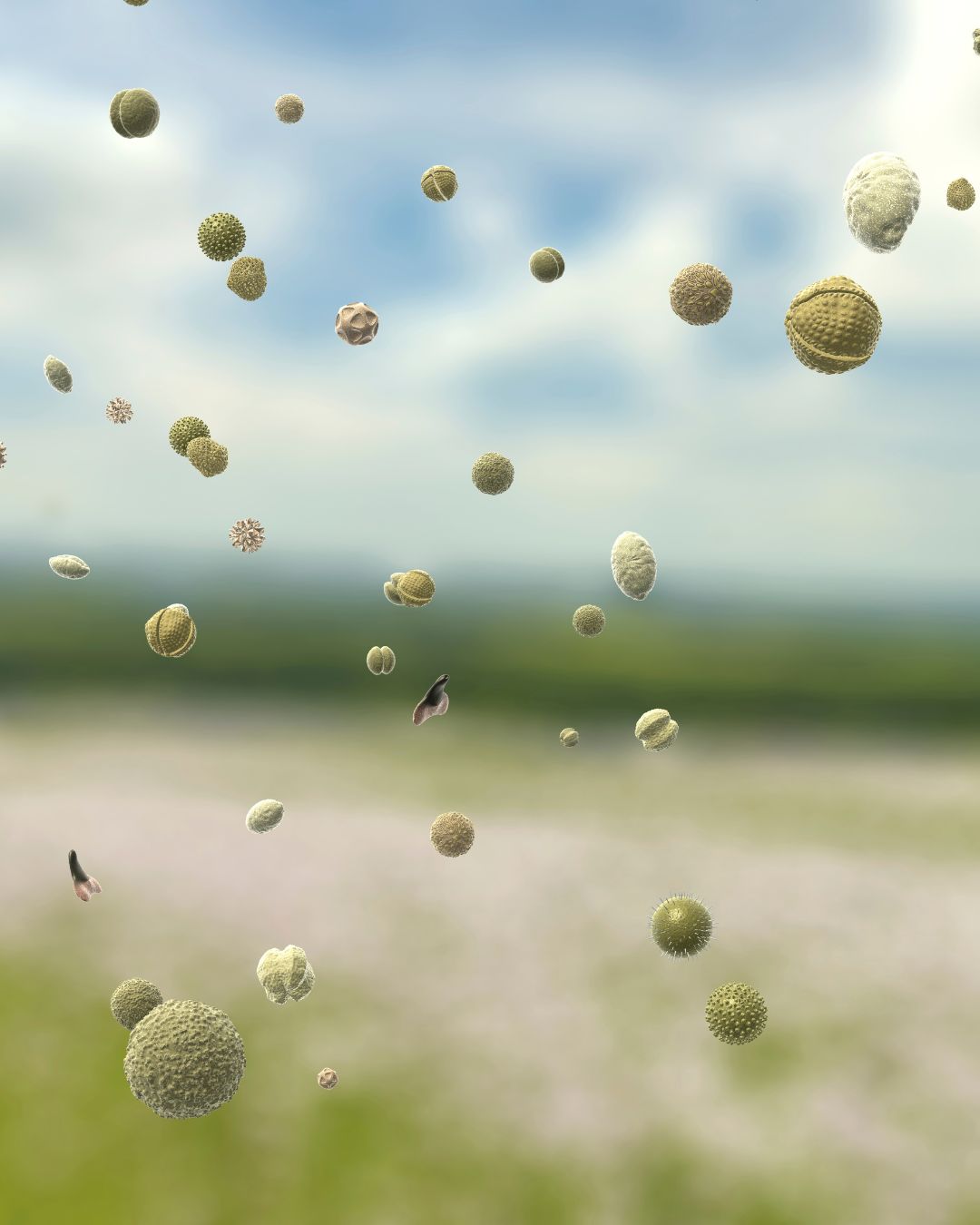 beste luchtreiniger tegen pollen